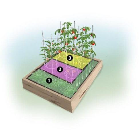 Como Cultivar Un Jardín Para Salsas - Trucos De Jardineria