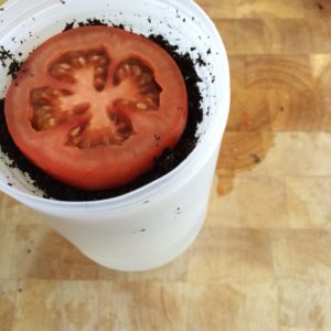 tomates desde rodajas