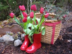 botas para el jardin