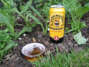 cerveza para el jardin
