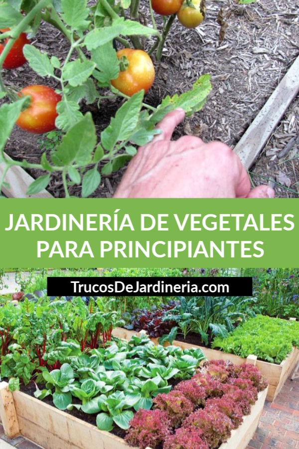 Guía De Jardinería De Vegetales Para Principiantes - Trucos De Jardineria